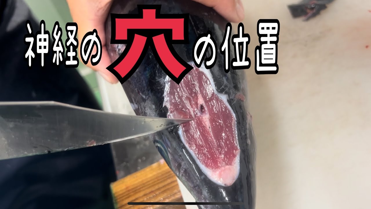 神経の穴の位置編 vol.630