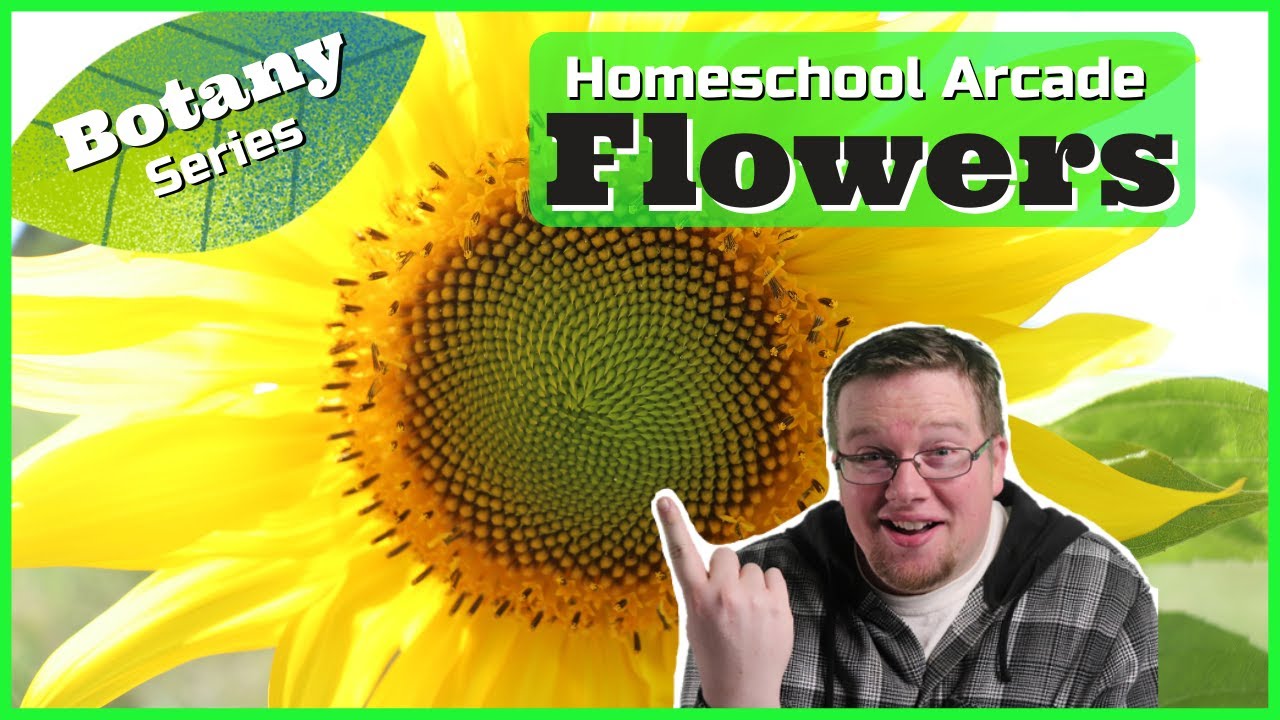Flowers | Purpose & Parts of a Flower