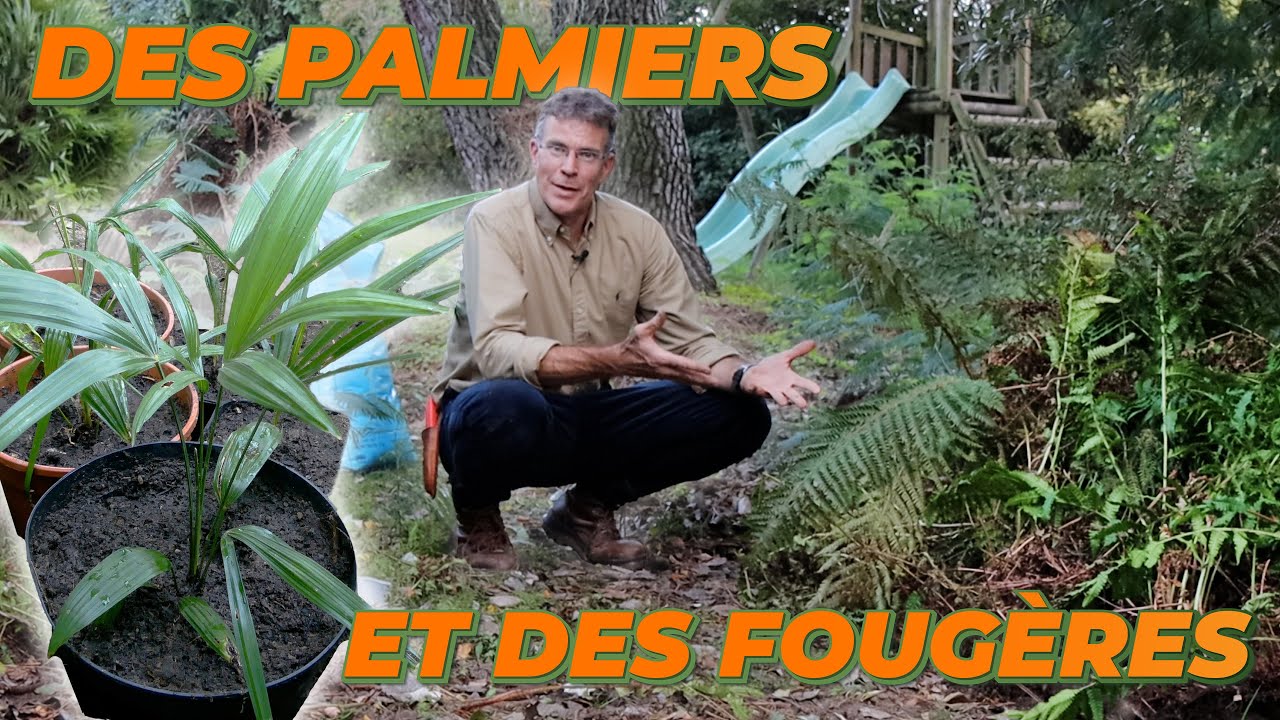 UNE ASTUCE POUR PLANTER DES PALMIERS - Que Faire Dans Mon Jardin ? Semaine 44