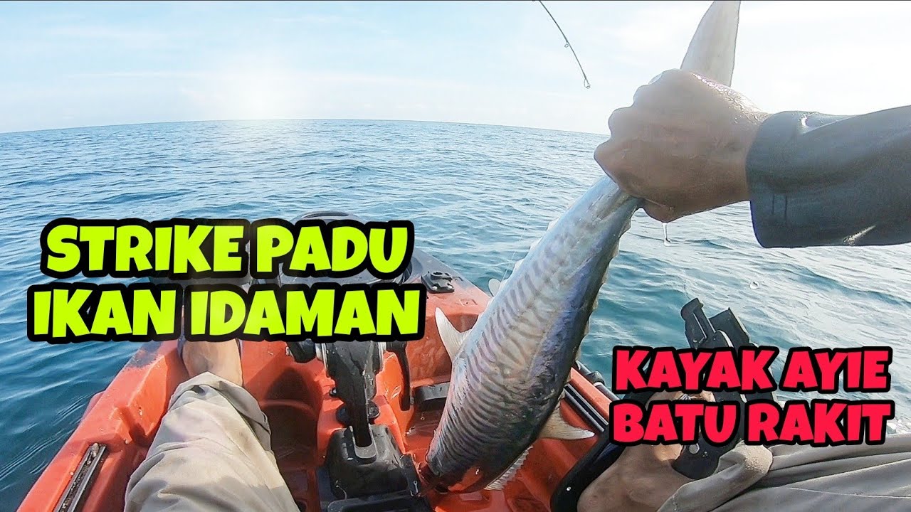 Akhirnya Dapat Ikan Spesis Idaman On Kayak Fishing !!!