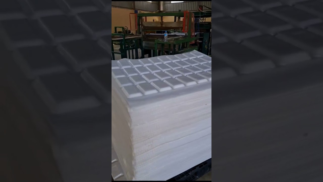 مشروع صناعه اطباق الفوم واحنا بنسعدك في اختيار الماكينات وتاهيل وتركيب وتجميع وصيانه وتشغيل المصنع