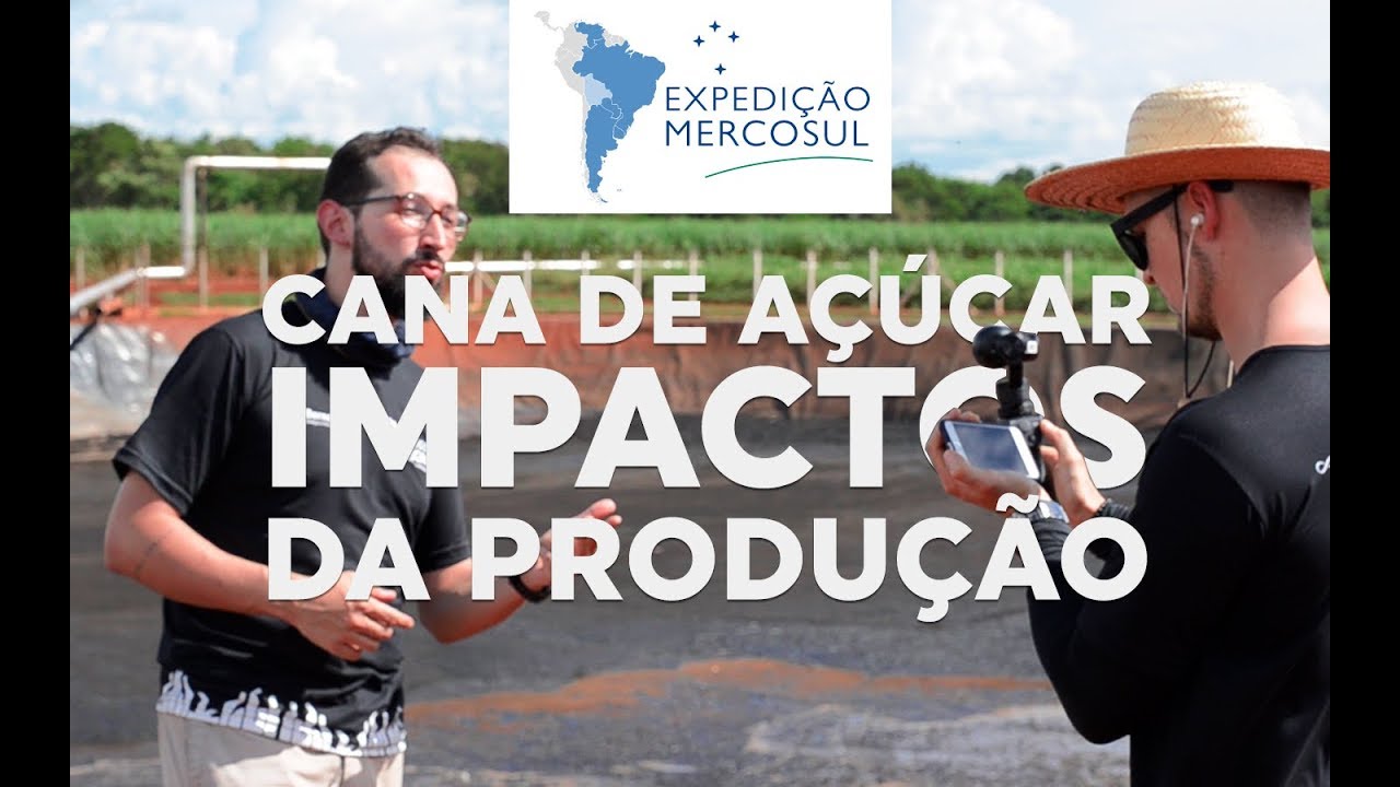 Impactos ambientais da cana-de-açúcar e etanol - Expedição [#09] | Geografia com Terra Negra