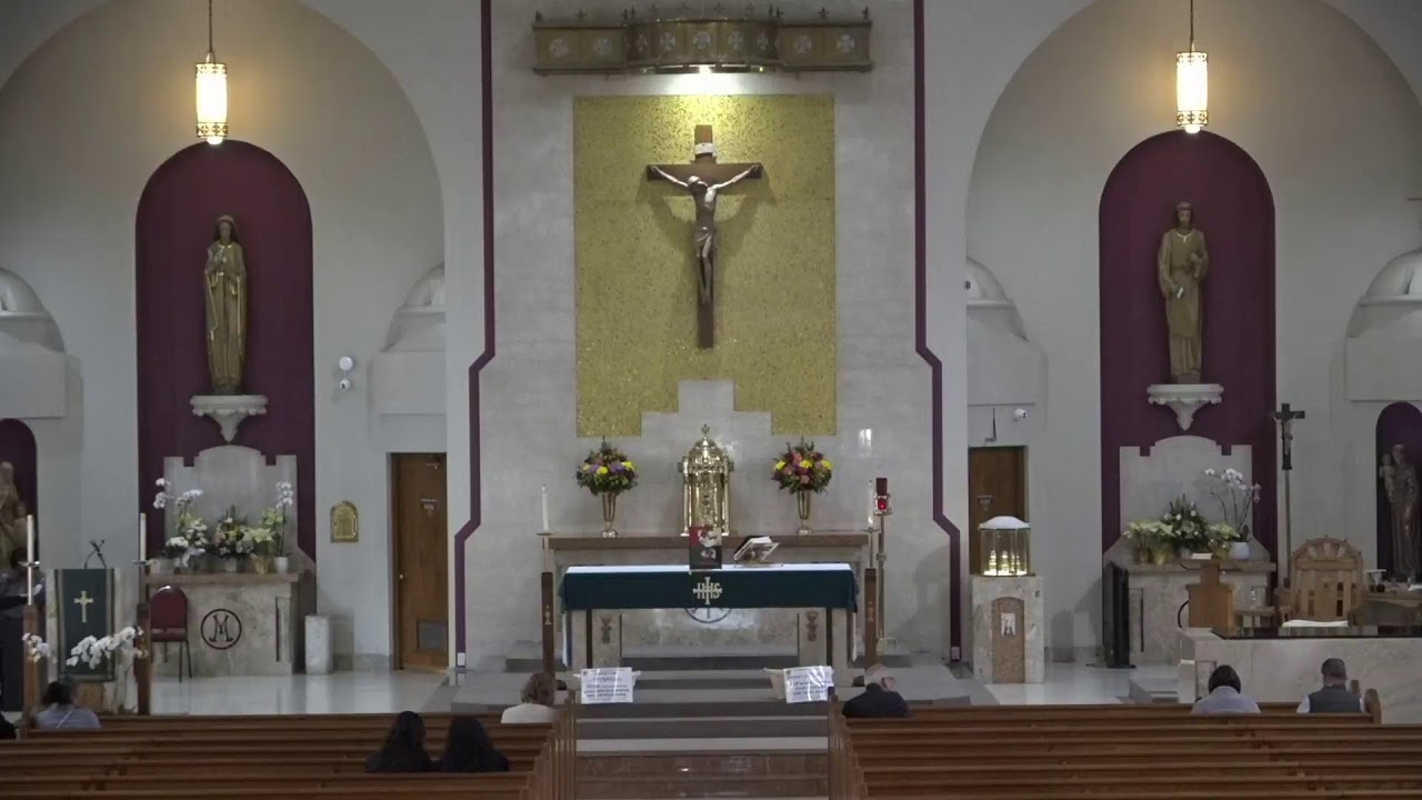 Sixth Sunday in Ordinary Time with Fr. Angelo  Giovanny Battista EMSC (02.15,2026)