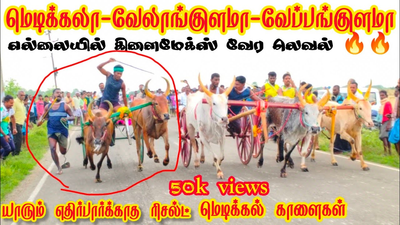 1 தூத்துக்குடி மாவட்டம் எட்டயபுரம் பந்தயம்