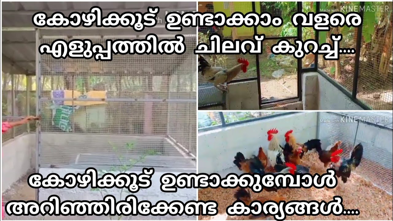 കോഴിക്കൂട് ഉണ്ടാക്കാം വളരെ എളുപ്പത്തിൽ ചിലവ് കുറച്ച്....