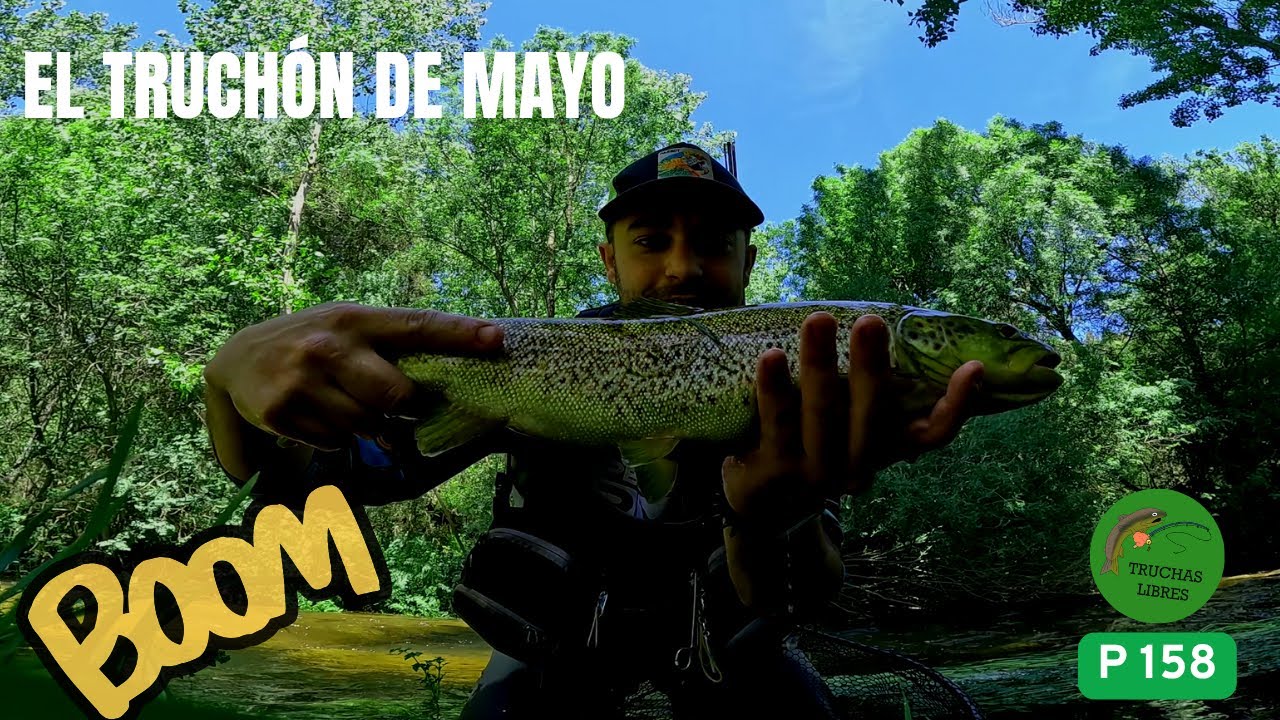 PROYECTO 158 | PELEA ÉPICA DEL TRUCHÓN DE MAYO EN UN RÍO PEQUEÑO