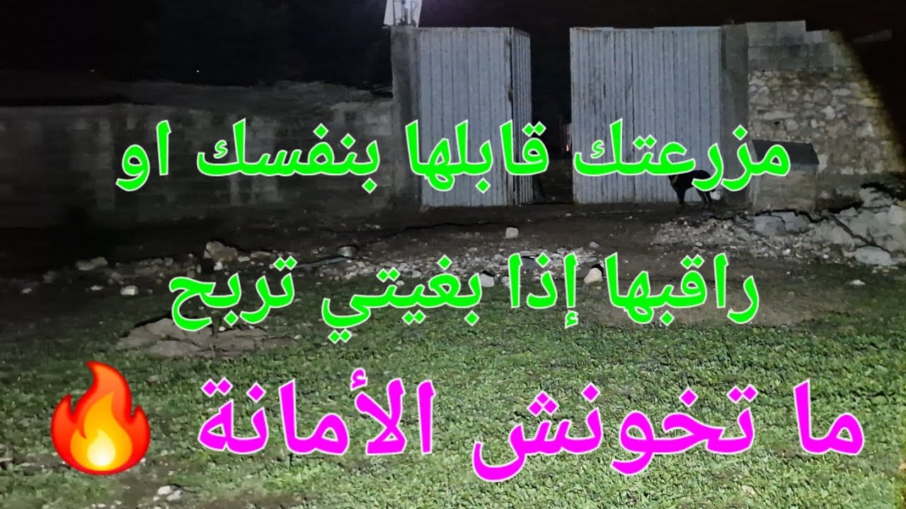 الحلقة 731🐏🌱 قصة حزينة لمهاجر وثق بأخيه فخان الأمانة💔