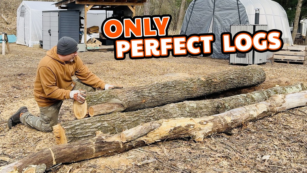 From Wood Hound to Wood Snob? How I Select Logs