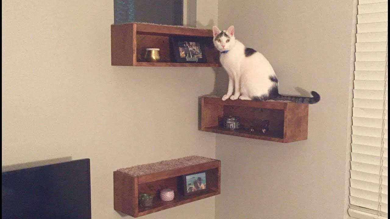 Floating Cat Shelf Boxes