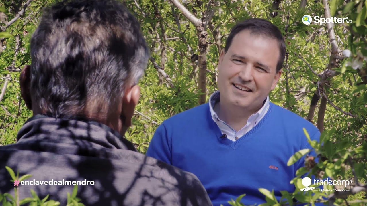#EnClaveDeAlmendro | La sanidad del cultivo de almendro como gran reto de producción