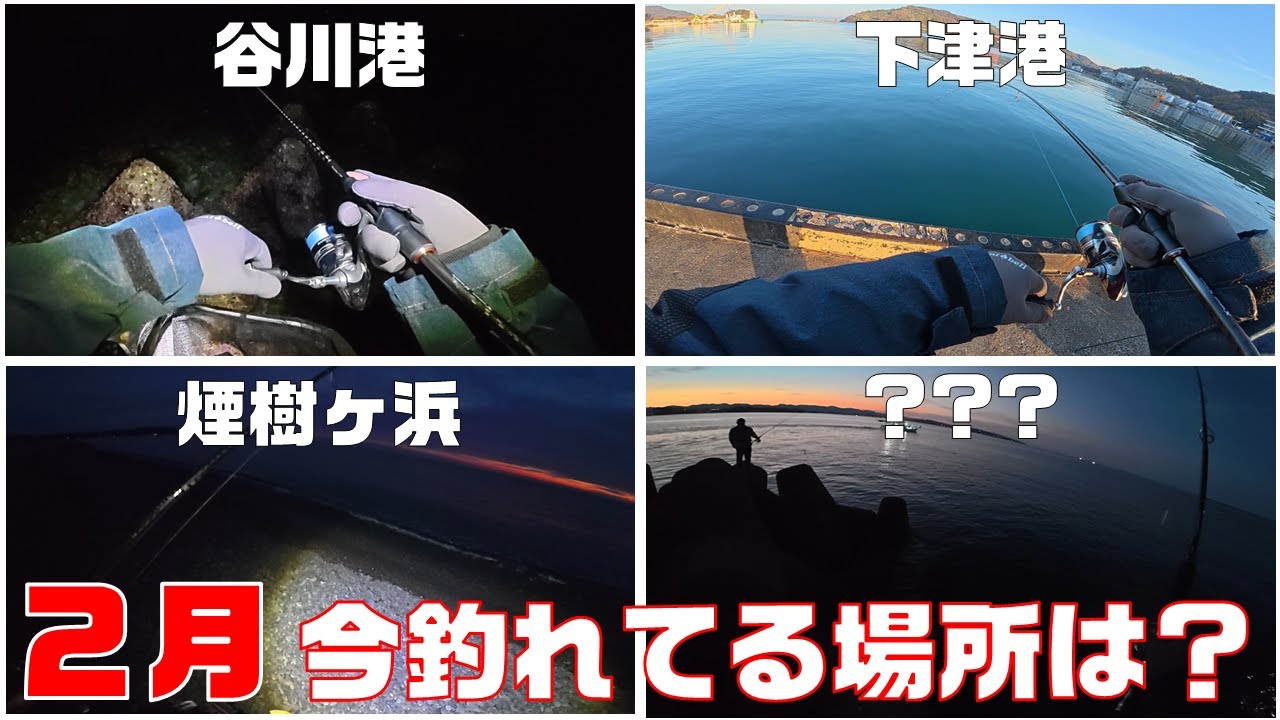 【アジング】大阪・和歌山の釣り場状況と新規開拓。