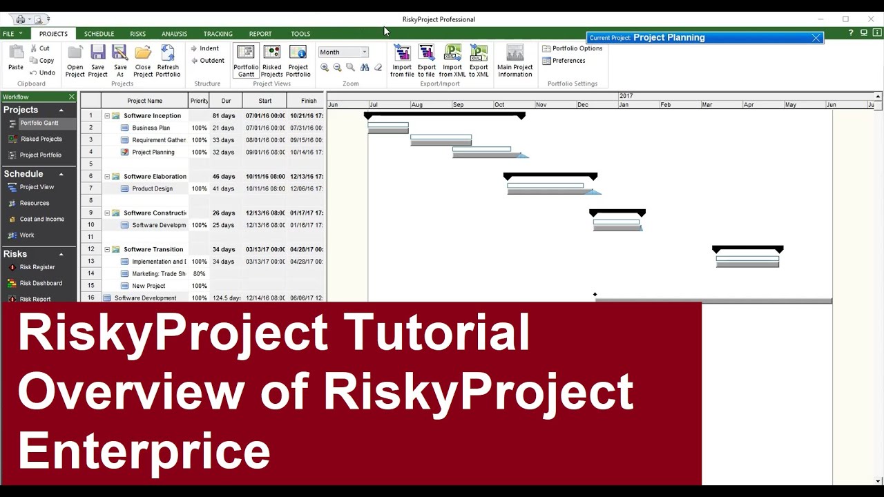 RiskyProject Enterprise Tutorial: Overview of RiskyProject Enterprise