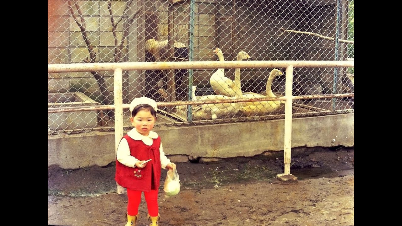 釧路市　鶴ケ岱公園　動物園　１９６７年（昭和４２年）春　＋　鶴ケ岱公園　１９６７年（昭和４２年）夏　写真