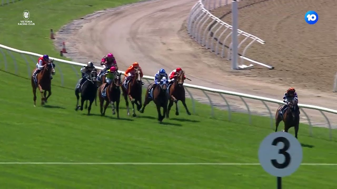 Melbourne Cup Day - Race 2 - Furphy Plate