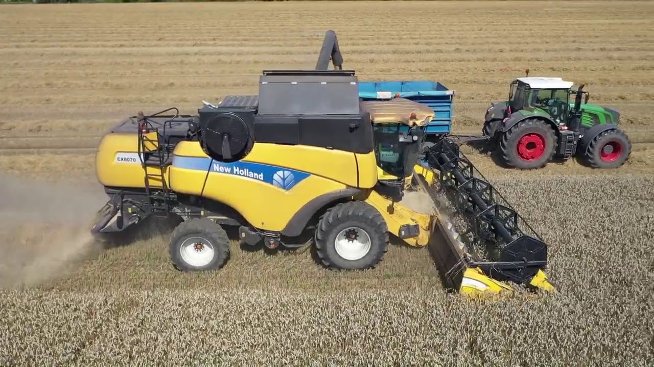 HARVEST 2020//ŽNĚ 2020//PŠENICE//ZOD Živanice//ŽNIWA//