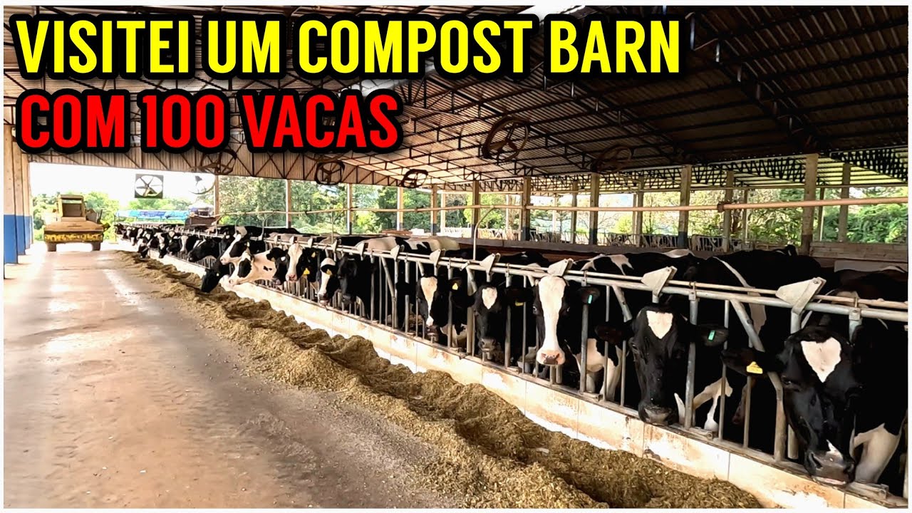Rotina de um Compost Barn e os maquinários usados no manejo das vacas (Visita Técnica)