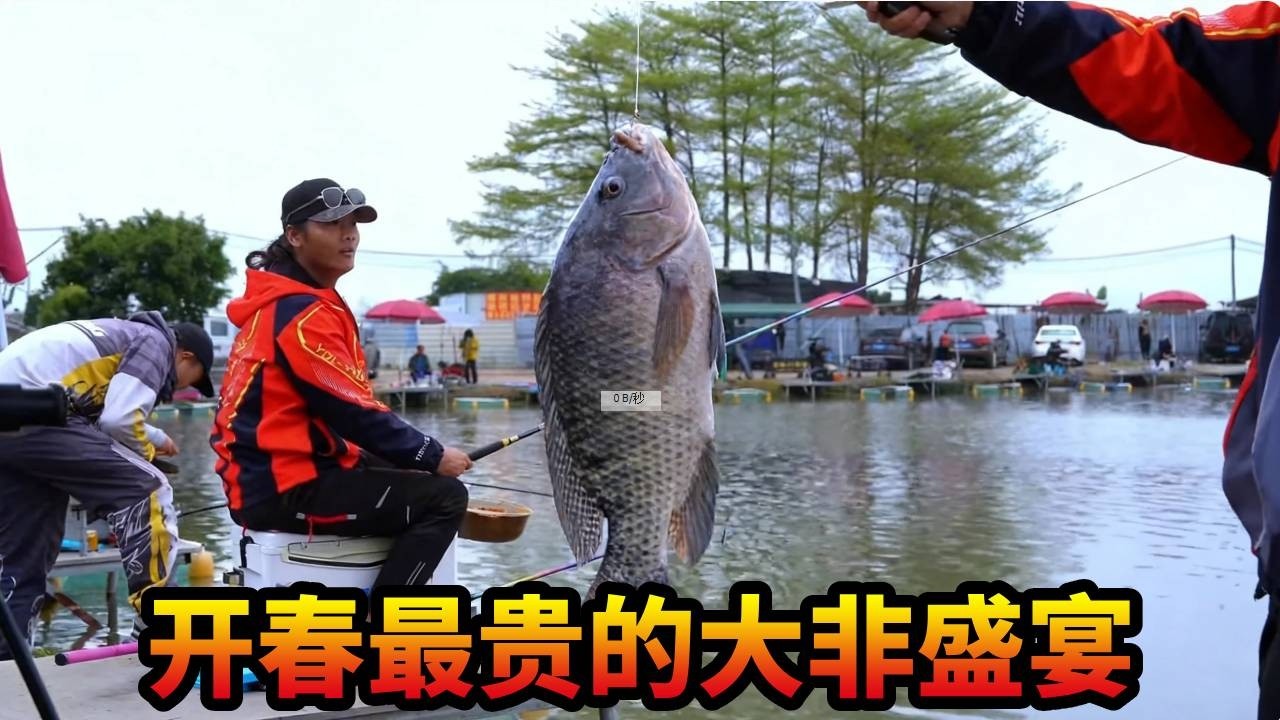 开春最贵的大非盛宴，  钓票十几万坐无需席，集齐各路大师，开塘赛就这样旱的旱涝的涝，你们怎么看？
