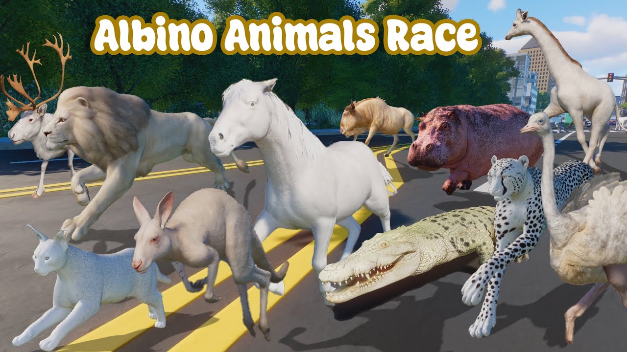 10 Albino Carnivores VS 10 Albino Herbivore Animals Race in a New City Planet Zoo included Giraffe