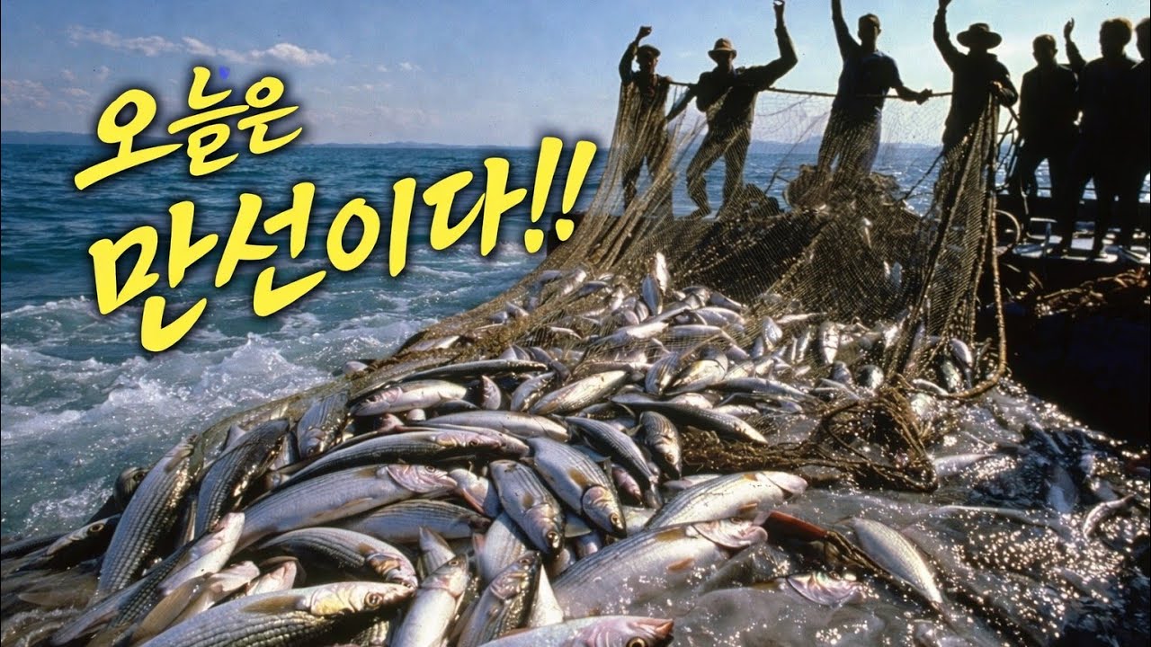 만선이다 | 어부의 노래 | Korean Fishermen Folk Song#만선이다#어기야뱃노래#한국민요