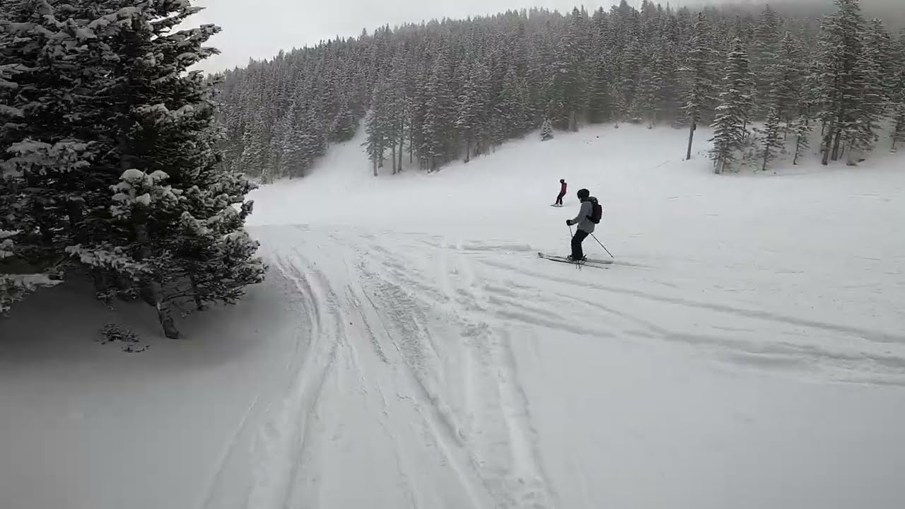 Taos White Feather (Green) in Blizzard Day 1