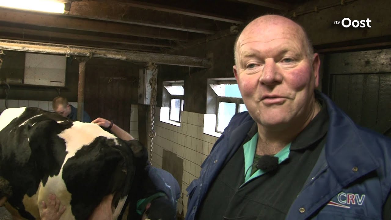 Koe uit Geesteren gehuldigd; Big Boukje 192 geeft 200.000 liter melk