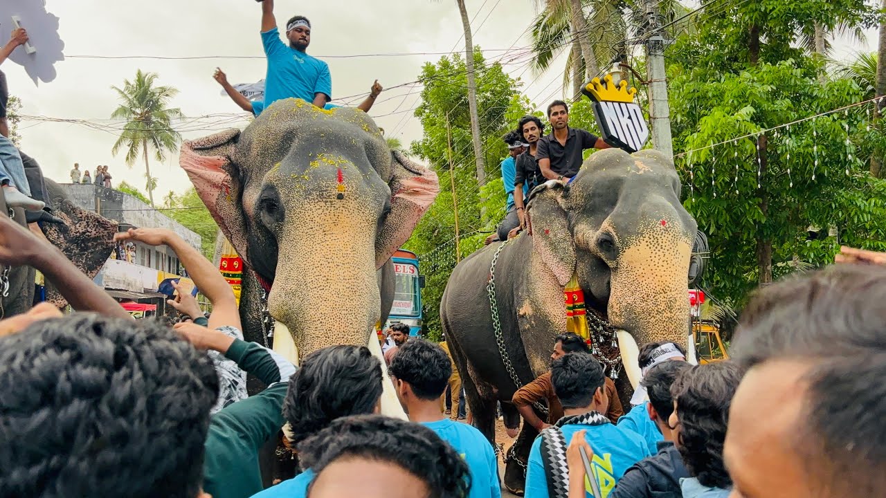 നൂണക്കടവ് ഫെസ്റ്റ് 2025🔥💕 | noonakkadavu feat |