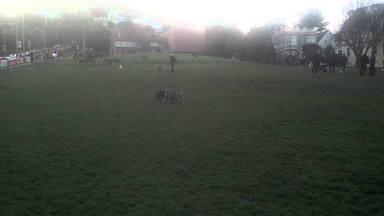 Motorola Droid 4: HD Video Sample 1