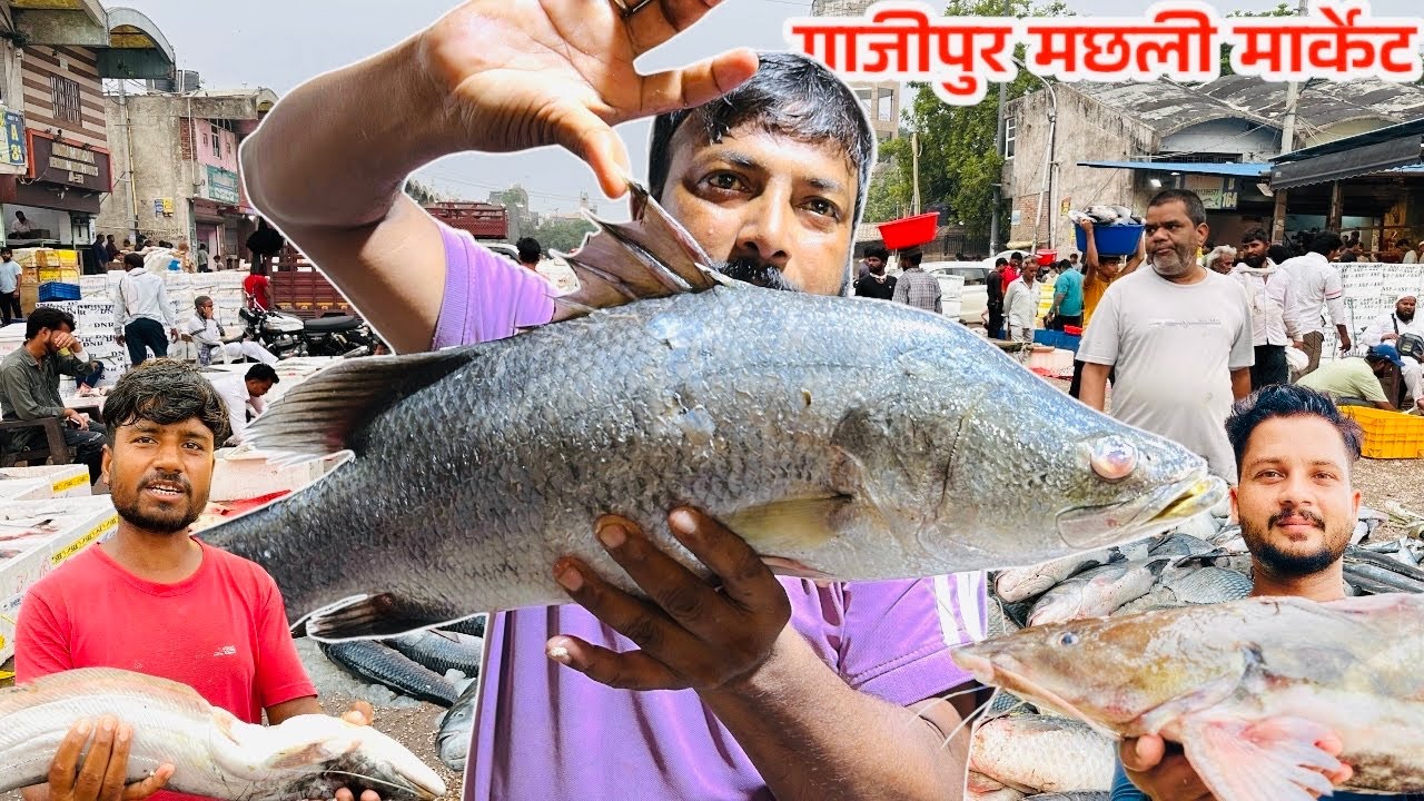 ghazipur fish mandi rates today | Gazipur fish Mandi | wholesale fish market in Delhi|RRRM |