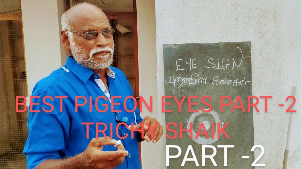 part -2 புறாவின் கண்கள் வரைபட விளக்கம் பகுதி -2 , best pigeon eye sign , trichy shaik