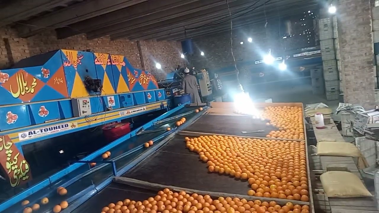 Mini vloge