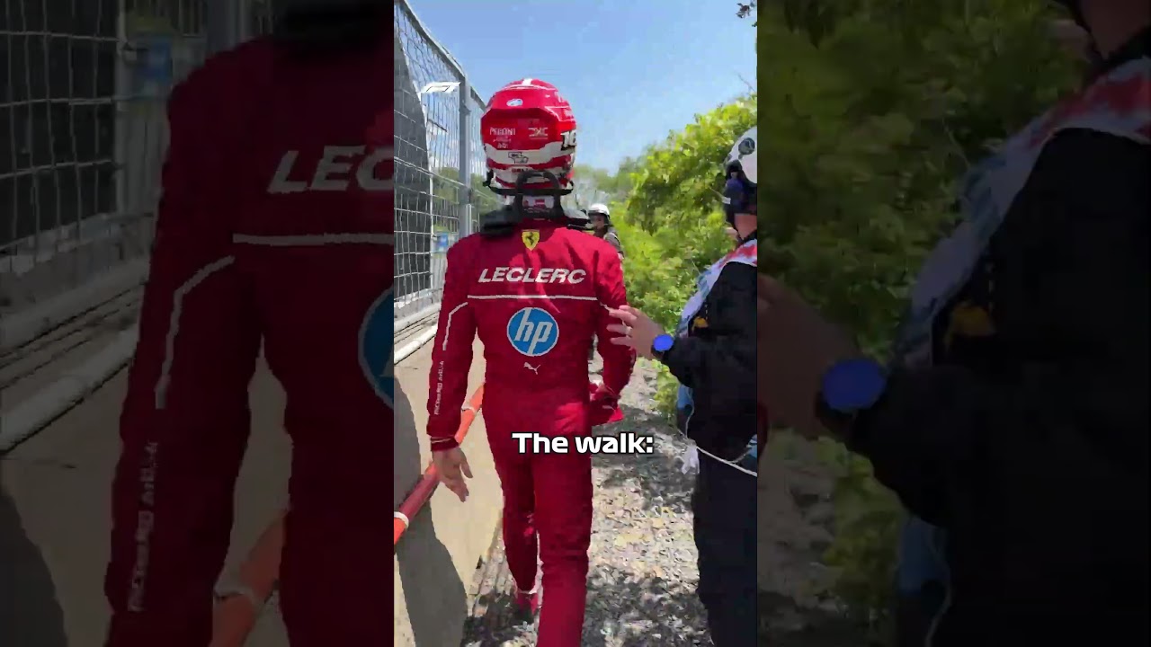 POV: Your Getting Your Daily Steps In With Charles🚶&zwj;♂️