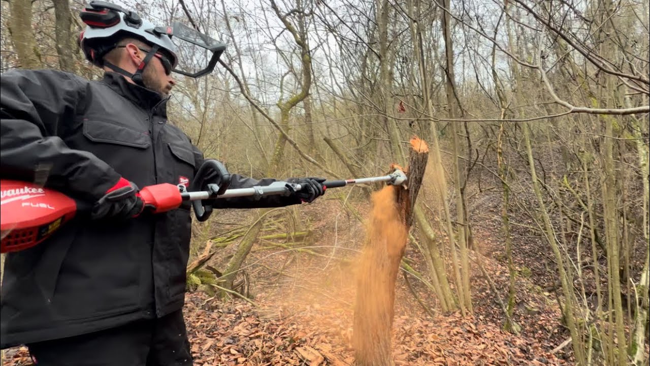 Milwaukee M18 FOPH2-0 FUEL Quik Lok cutting dry branches in the forest.( Cap multifunctional.)
