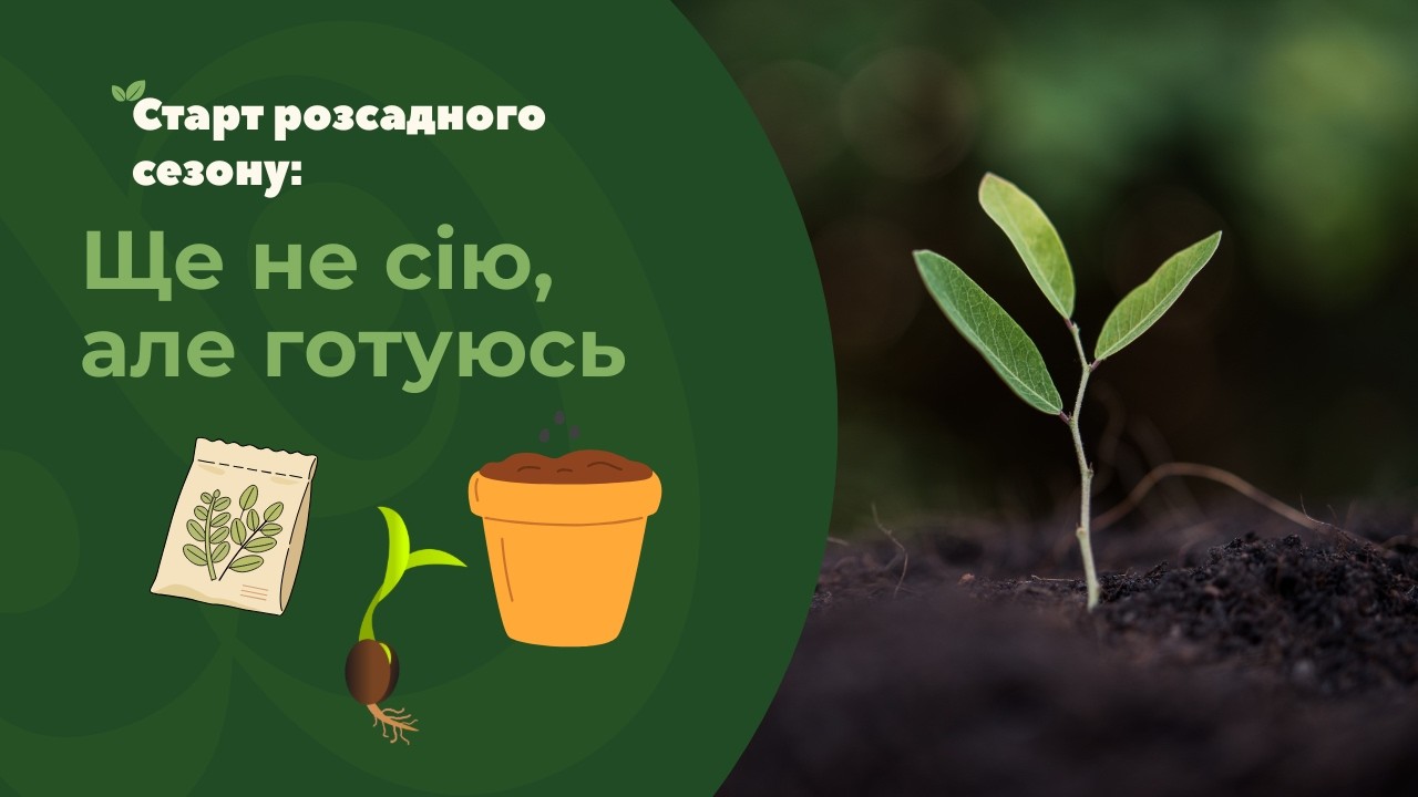 Перець і рання капуста - пророщую насіння на гідрогелі і відповідаю на деякі запитання