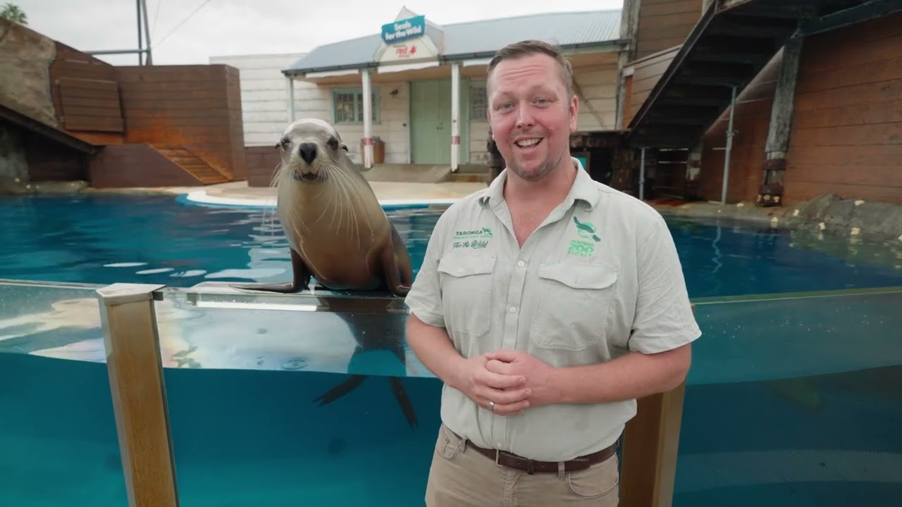 Red Energy | Taronga Zoo - Electricity Supply Update