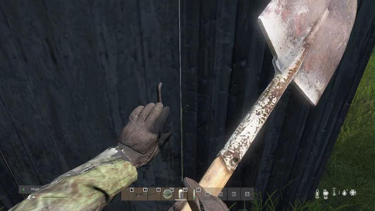 DayZ_20260221181102
