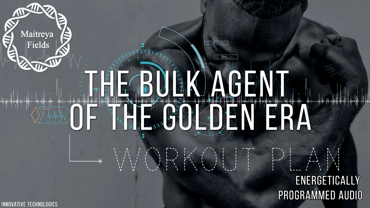 The Bulk agent of the Golden Era - EXPERIMENTAL / Maitreya Reiki&trade;