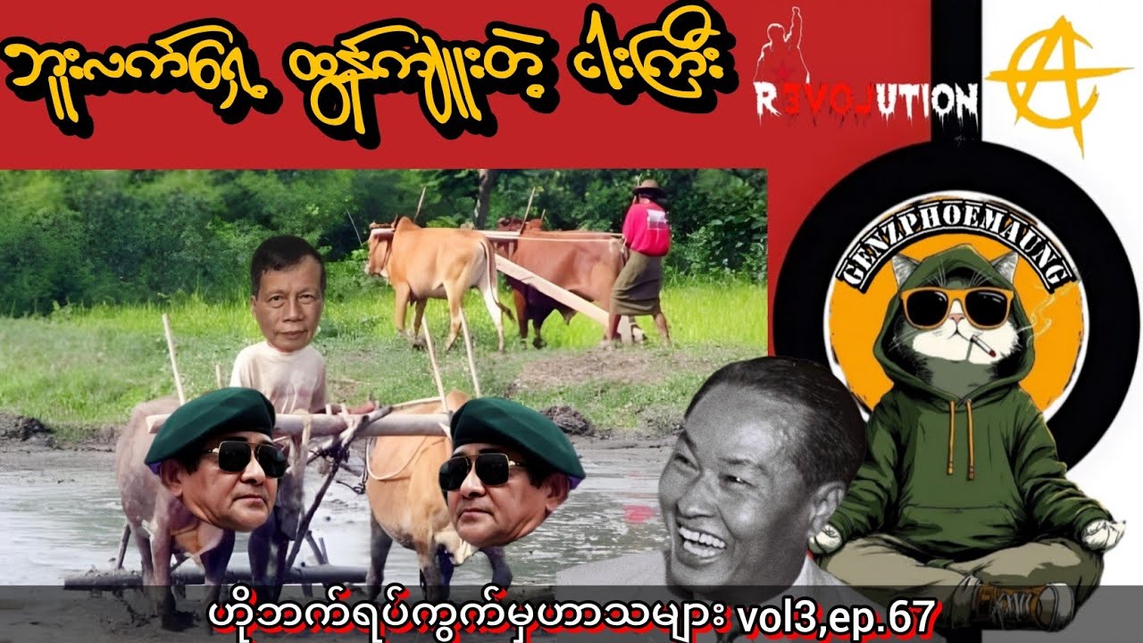 ဘူးလက် ရှေ့ ထွန်ကျူးတဲ့ ငါးကြီး😂#funnyvideo