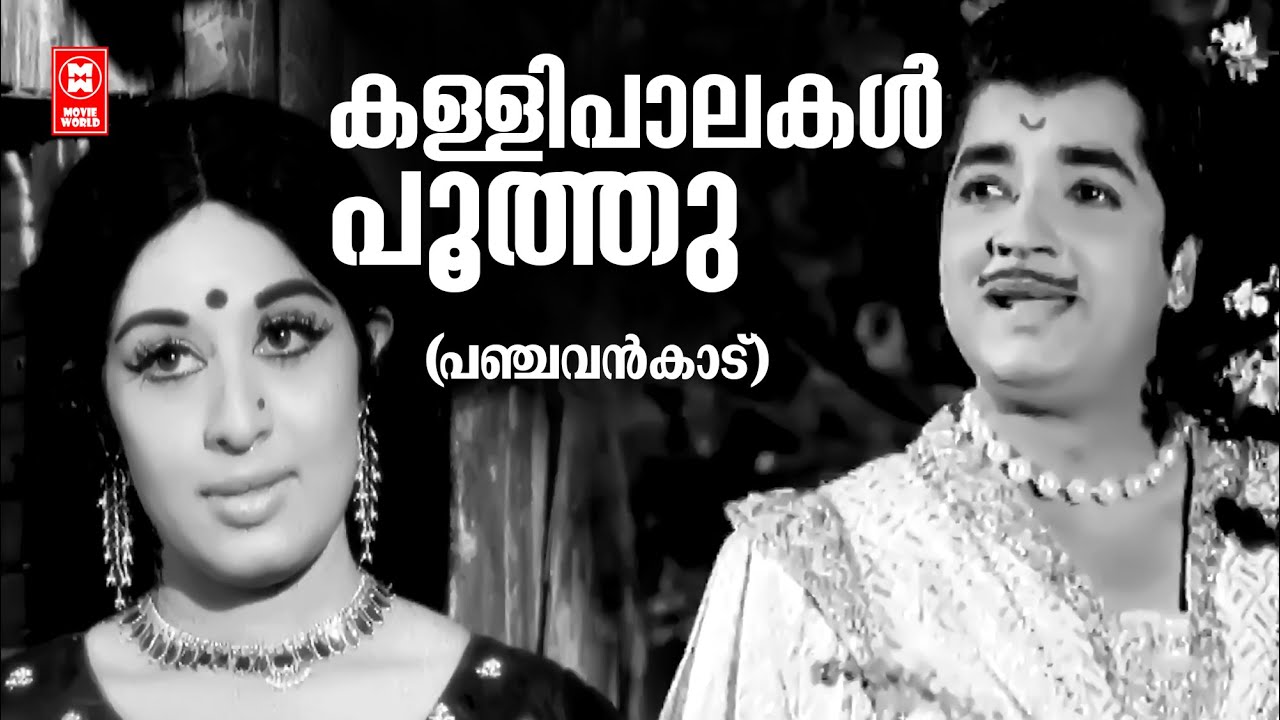Kallipaalakal Poothu | Panchavankadu | G Devarajan | Vayalar Ramavarma | KJ Yesudas | Prem Nazir