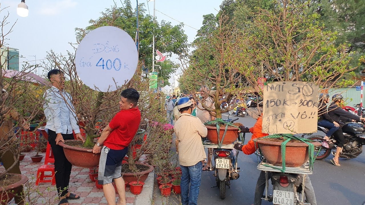 Vỡ Trận Chợ Hoa Tết Bến Bình Đông Hoa Xổ tràn lan nhà nhà đi mua hoa về chơi tết 2025