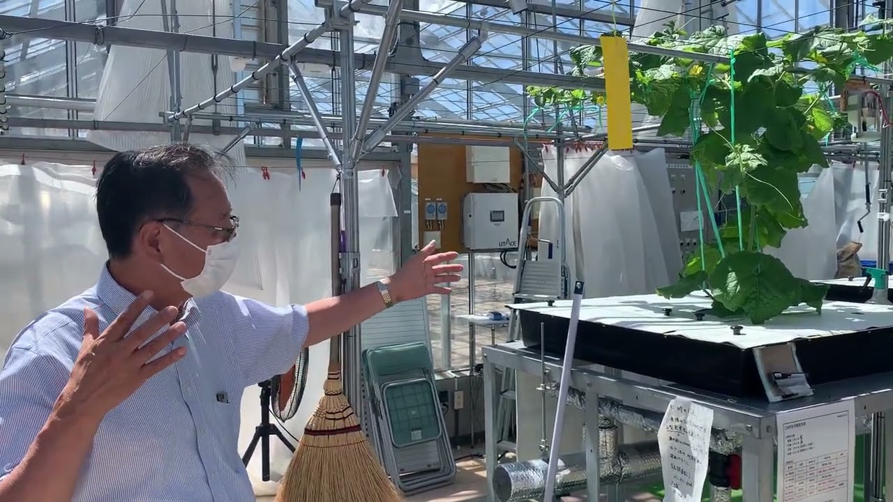 隣接する温泉排水を暖房に利用する、つがる市の水耕栽培メロン実証実験施設を見学2022.7.7