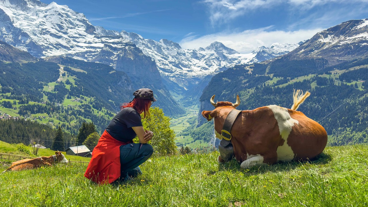 Lauterbrunnen Wengen Jungfrau Region Switzerland - Mountain spring