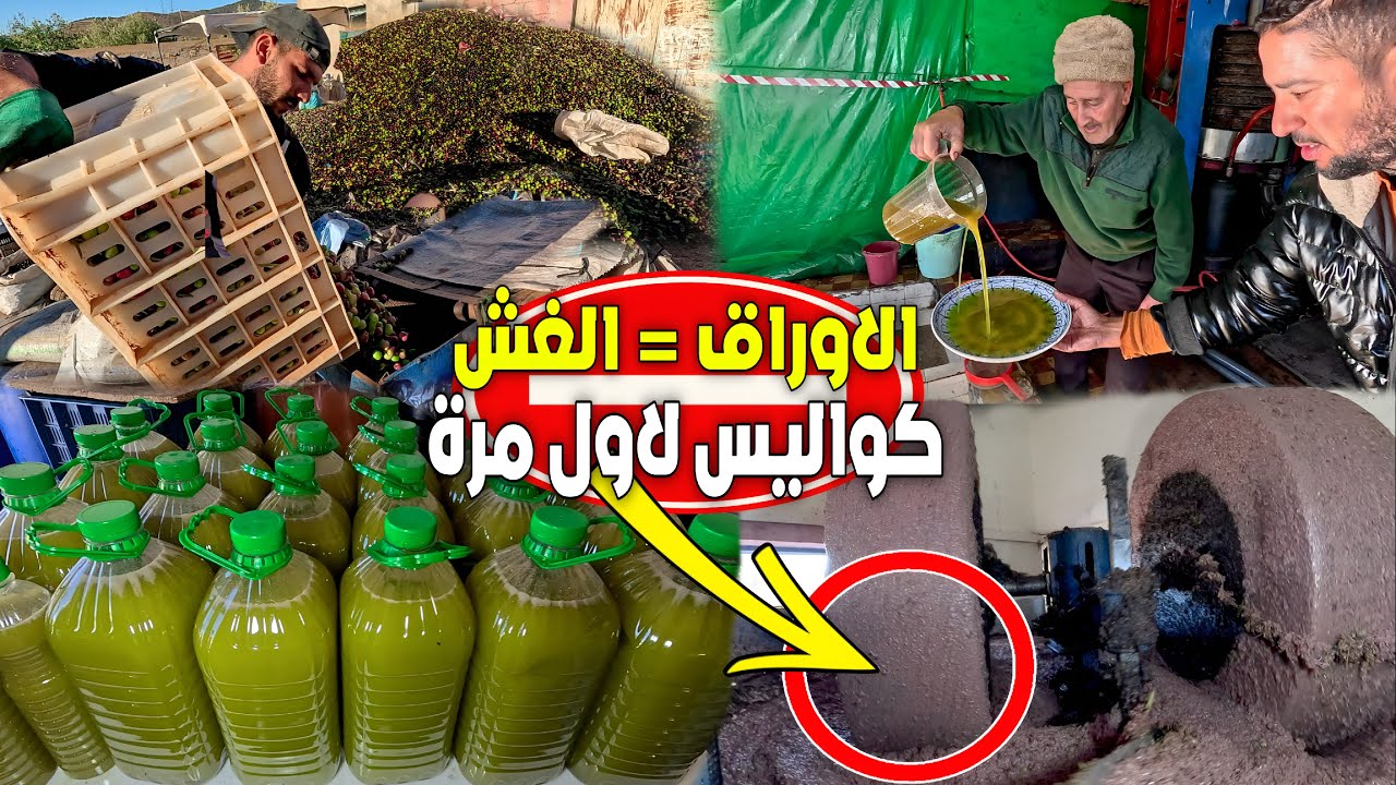 الغـش في الزيت والأوراق في الطاحونة الفيديو لي غادي يغير نظرتك لزيت الزيتون للأبد كواليس طحن الزيتون