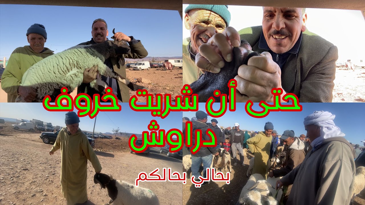 خوتي لهلاي يخطي علينا وعليكم الوالدين حتى أن شريت خروف دراوش شركتاه معاكوم الله يارب يسهل عل كل واحد
