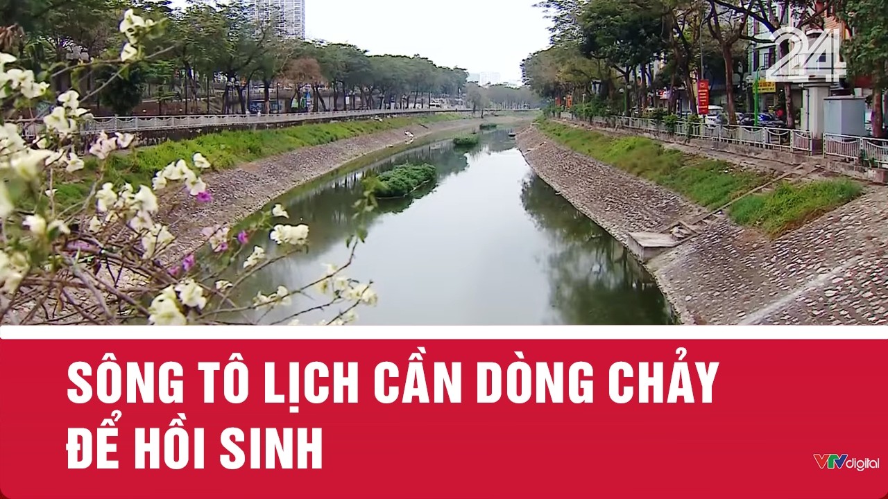 Sông Tô Lịch cần dòng chảy để hồi sinh | VTV24