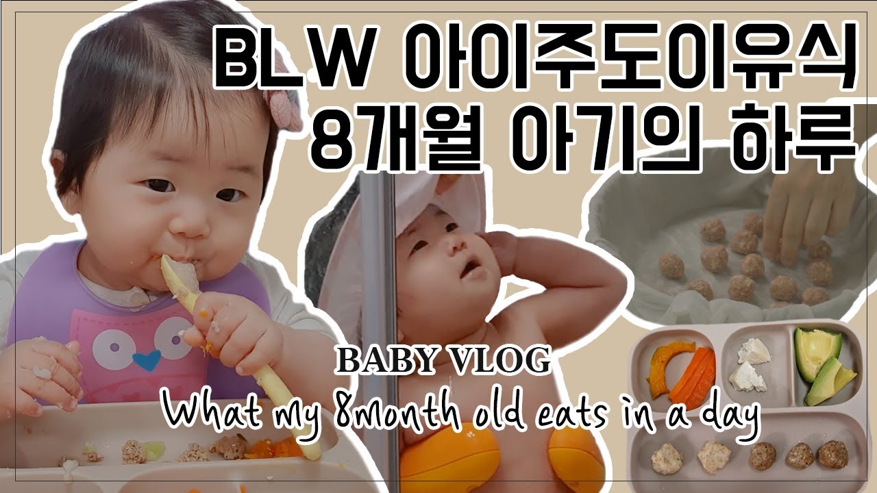 Baby Vlog l BLW아이주도이유식 8개월 아기의 하루(ft. BLW아기식단, 샤워핸들, 완자만들기)