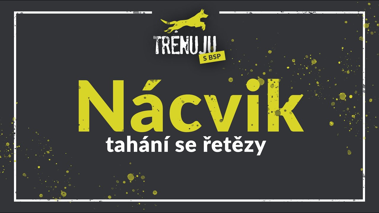 Trénink canicrossu | Nácvik tahání řetězu