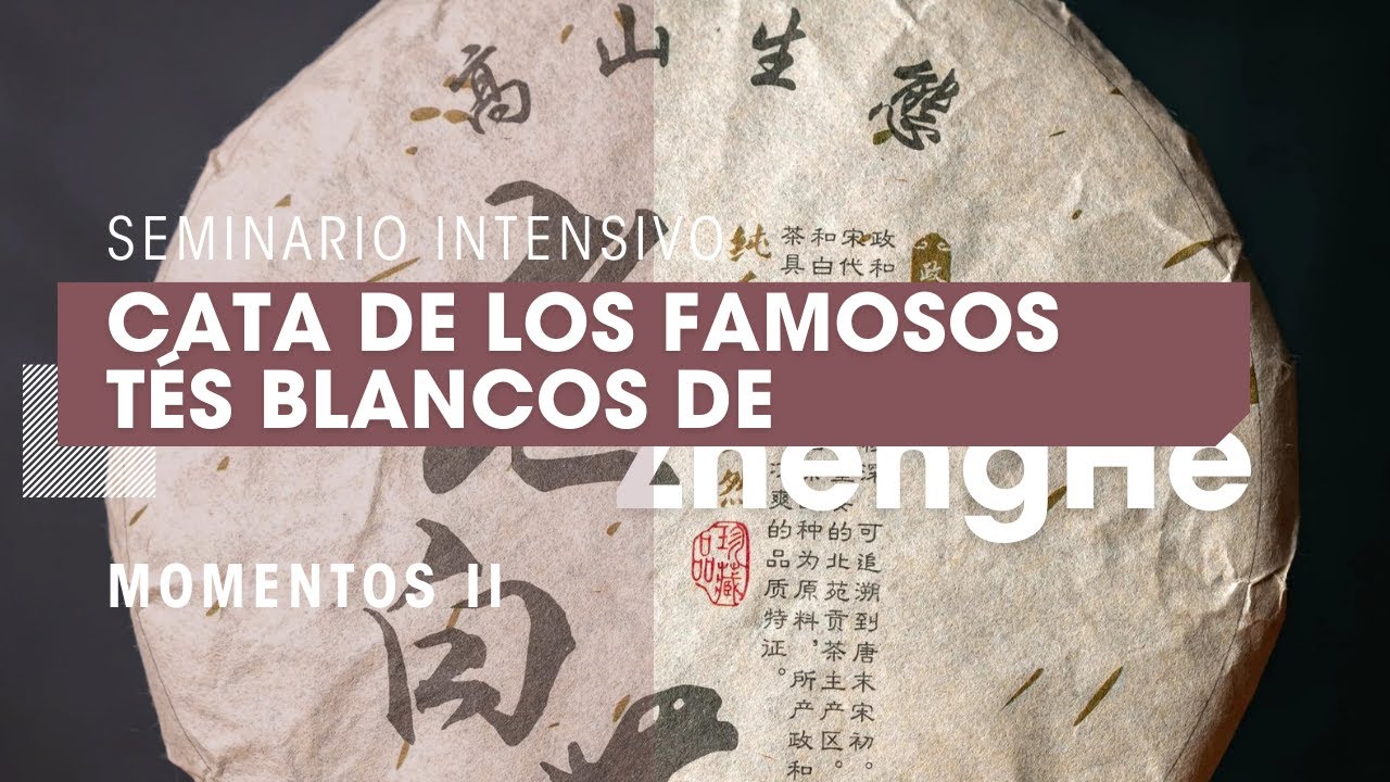 MOMENTOS II - Seminario Intensivo: Cata de los Famosos Tés Blancos de ZhengHe