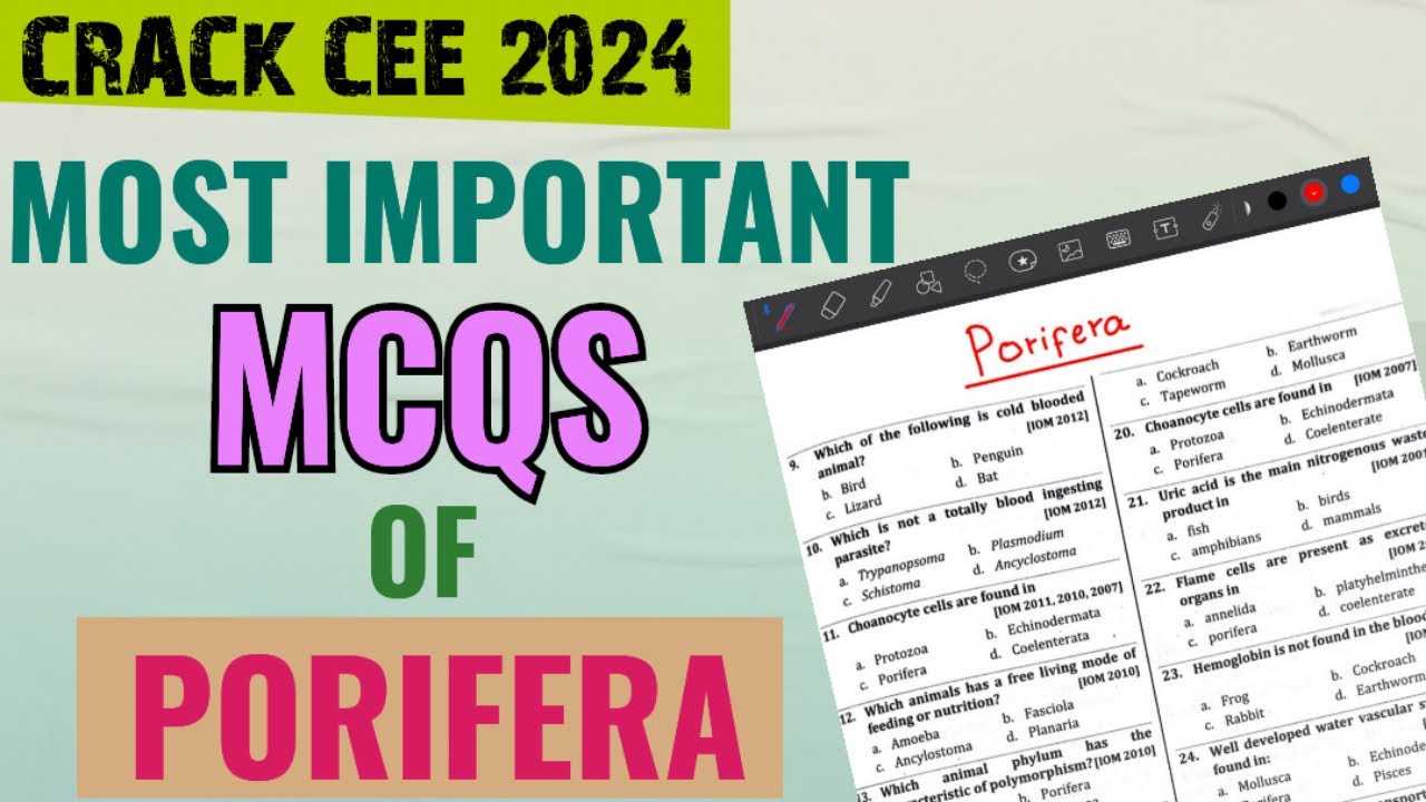 Phylum PORIFERA MCQ question for CEE Exam 2024