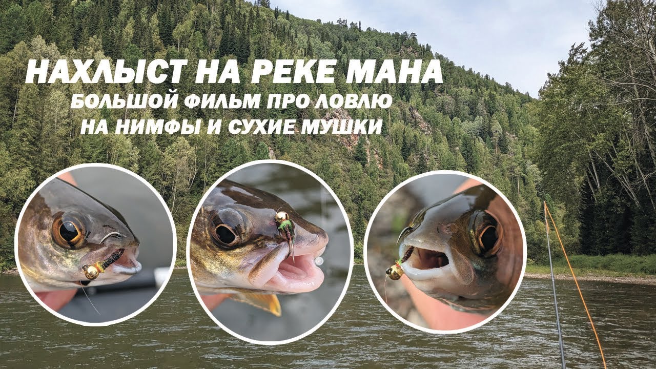 Фильм. Нахлыст на реке Мана. Ловля на нимфы и сухие мушки. Only Fly Fishing