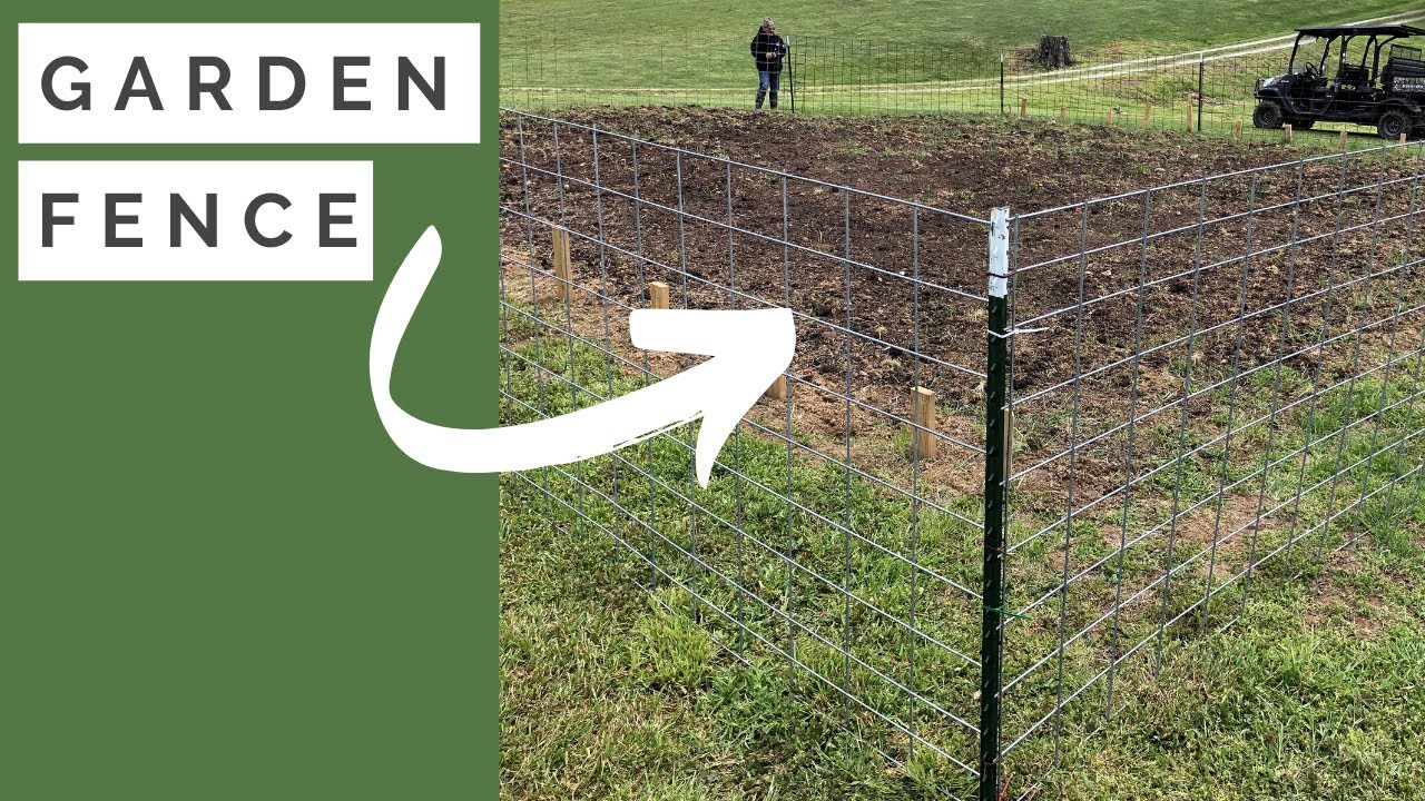 How To Build A Fence Around Garden |  T-Post and Cattle Panel
